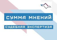 Негосударственная экспертиза