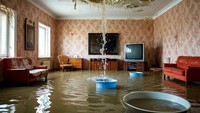 Затопило квартиру? 
